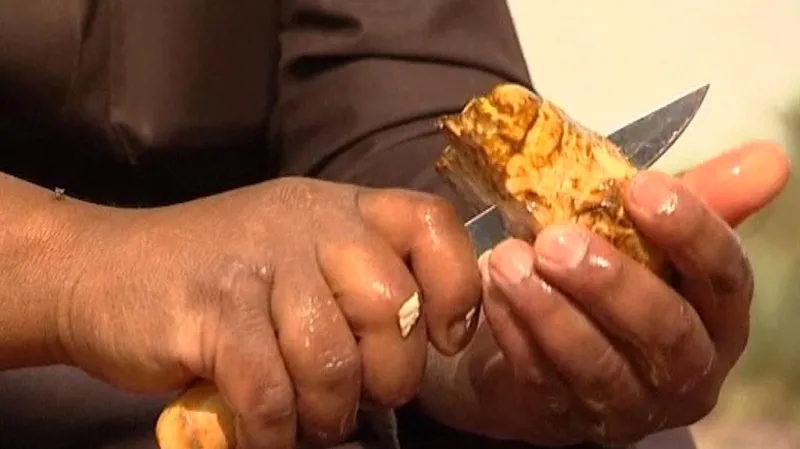 Lanýže v Saúdské Arábii