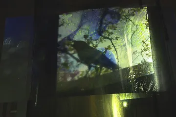 Ostrava vyvažuje literární Inverzi audiovizuálním Luftem