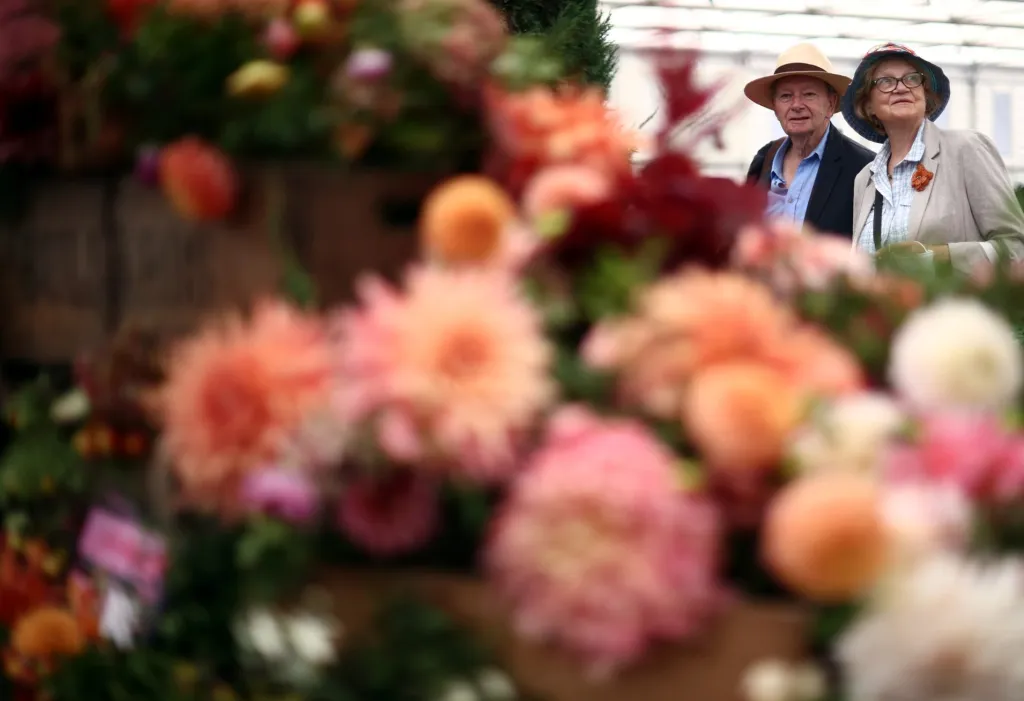 Přehlídka pěstitelů květin, floristů a aranžérů Chelsea Flower Show v Londýně nabízí milovníkům zahrad tu nejzajímavější podívanou ve Velké Británii