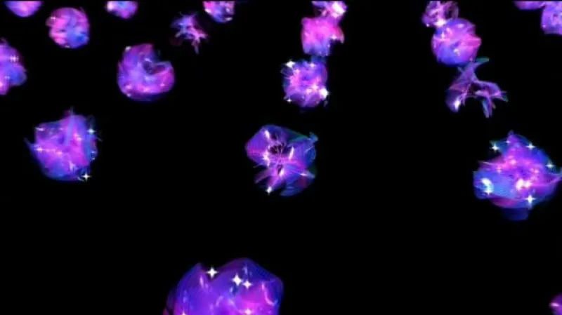 Rupert Leitner hostem Studia 6