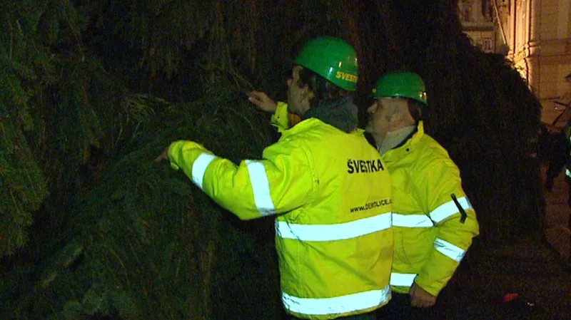 Vánoční strom se připravuje k instalaci