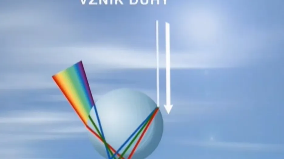 Duha
