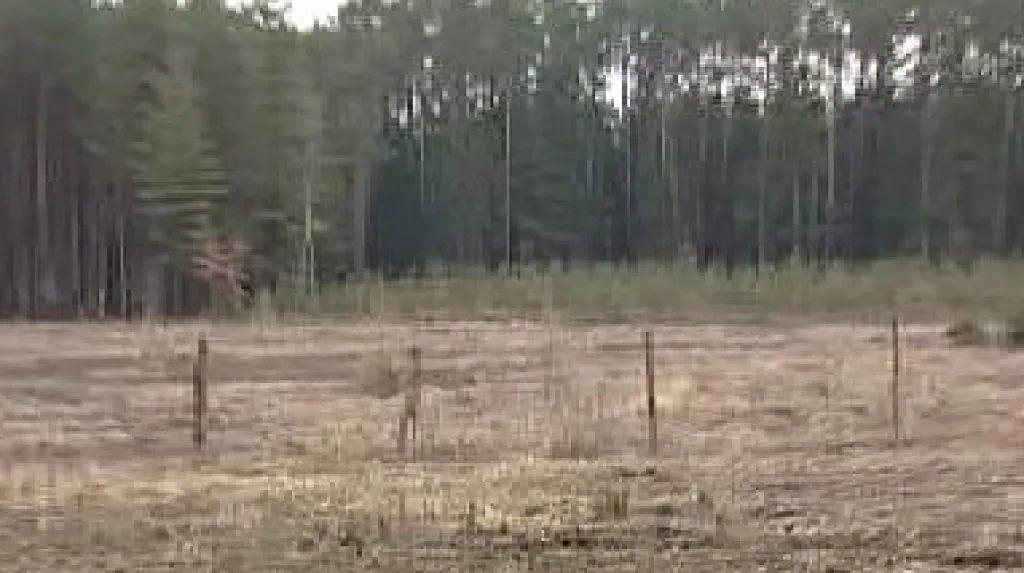 Pozemek u Kostelce nad Orlicí