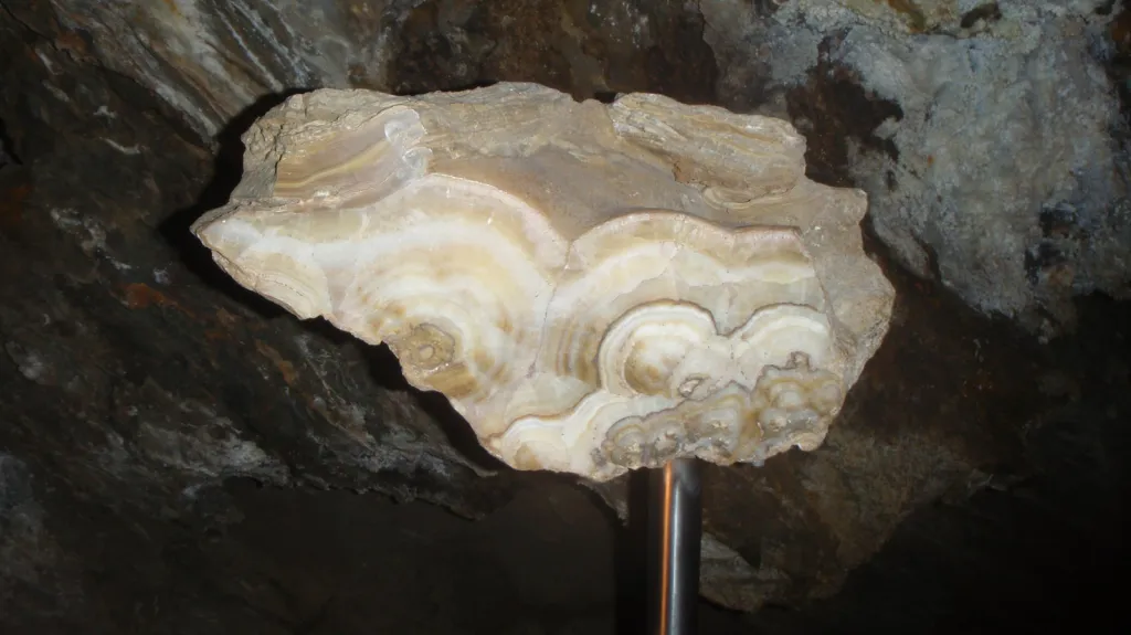 Podélný řez kalcitovou výzdobou