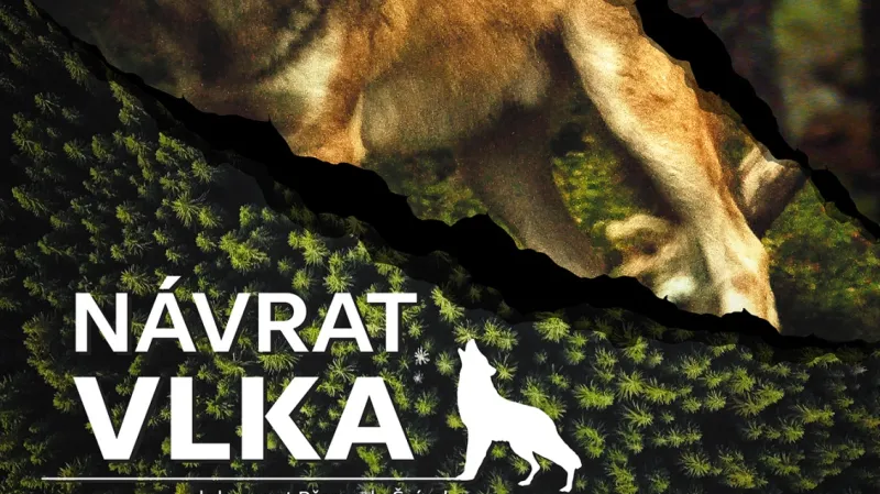 Poster k dokumentu Návrat vlka