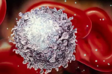 Virus HIV je na světě