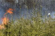 Počet požárů v přírodě byl letos v březnu vůbec největší