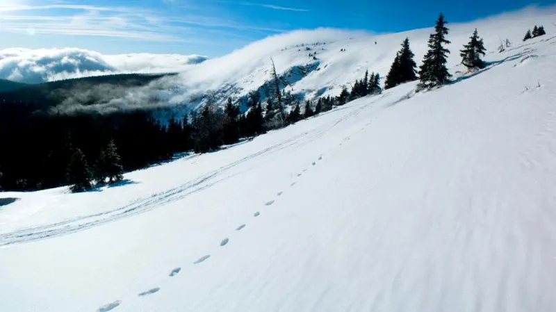 Jeseníky - Velký Kotel