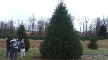 Strom pro Obamovi z farmy ve Virginii