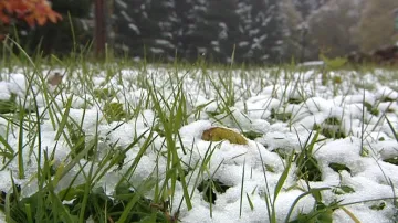 Šumava přivítala první letošní sníh