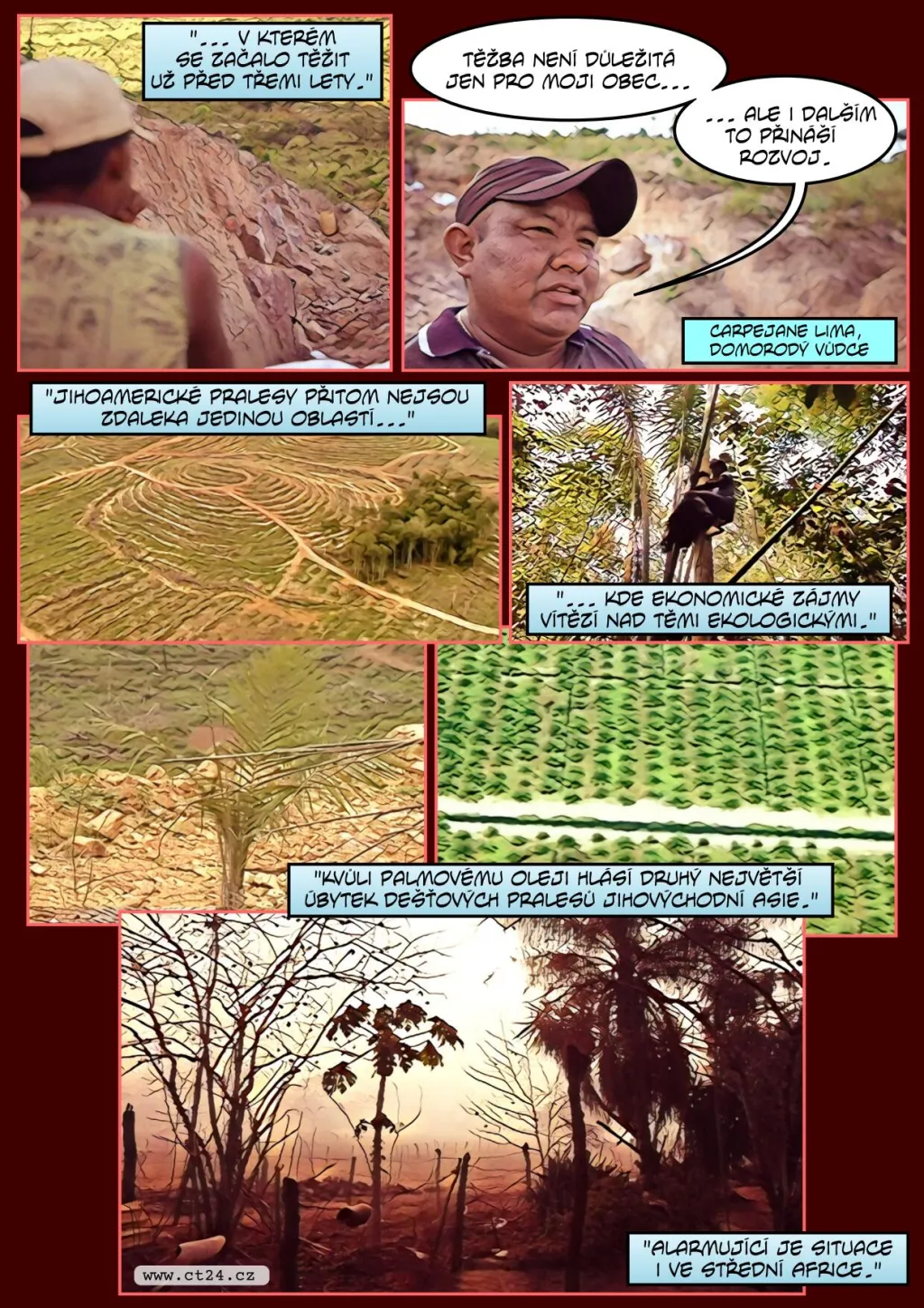 Svět vinou člověka přišel už o dvě třetiny deštných pralesů