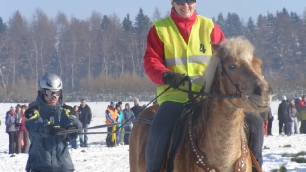 Koňské lyžování v Krkonoších