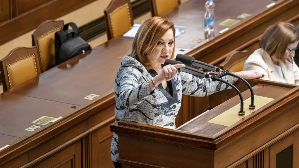 Ministryně financí Alena Schillerová (ANO)