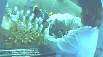 Příprava bakteriofágů v laboratoři