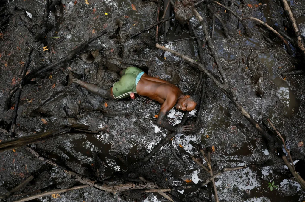 Hledat kraby v mangrovech je dost nebezpečné. V bahně se skrývají hadi, různé druhy červů a jedovaté žáby. Nebezpečí ale hrozí i při propadu bahna, které může sběrače pohltit