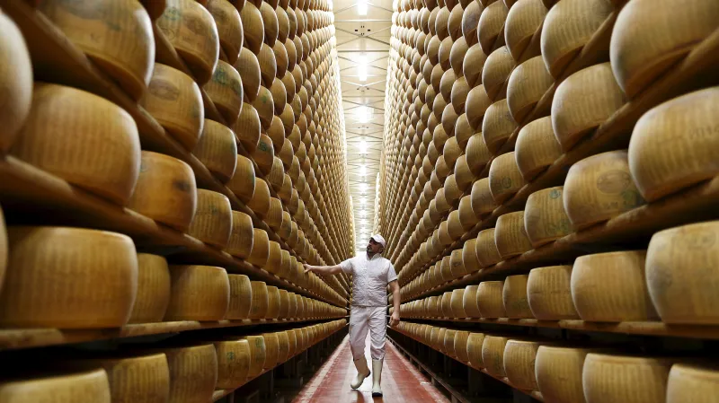 Výroba parmazánu v Itálii