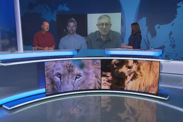 Šelmy ze Zvole je nutné co nejdříve přemístit, řekl starosta obce