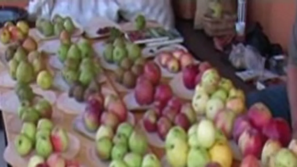 Výstava jablek v Hostětíně