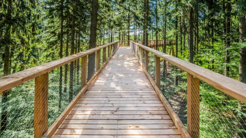 Stezka korunami stromů Krkonoše