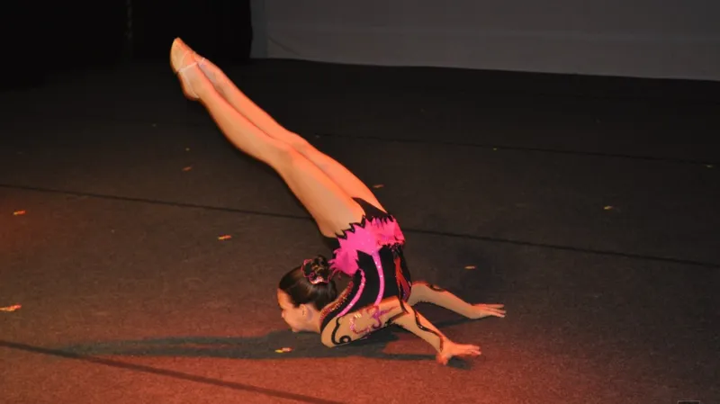 Sokolská akademie v Lounech