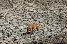 Svět žízní. Nedostatkem vody trpí už čtvrtina populace a krize se prohloubí, varuje zpráva