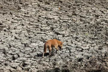 Svět žízní. Nedostatkem vody trpí už čtvrtina populace a krize se prohloubí, varuje zpráva