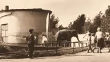 První pavilon slonů (rok 1963), dnes zde stojí Africká savana