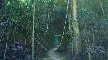 Cesta do džungle