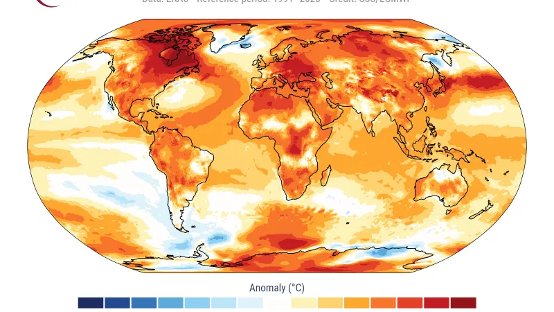 Teplotní anomálie vzduchu během roku 2024
