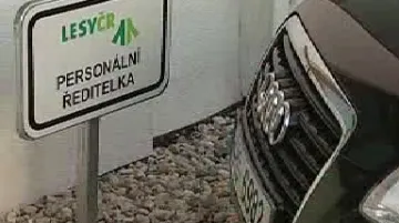 Nová limuzína pro manažery Lesů ČR