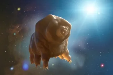 Mezihvězdné cestování je daleko, nabírá ale obrysy. K Proximě Centauri by mohly zamířit želvušky