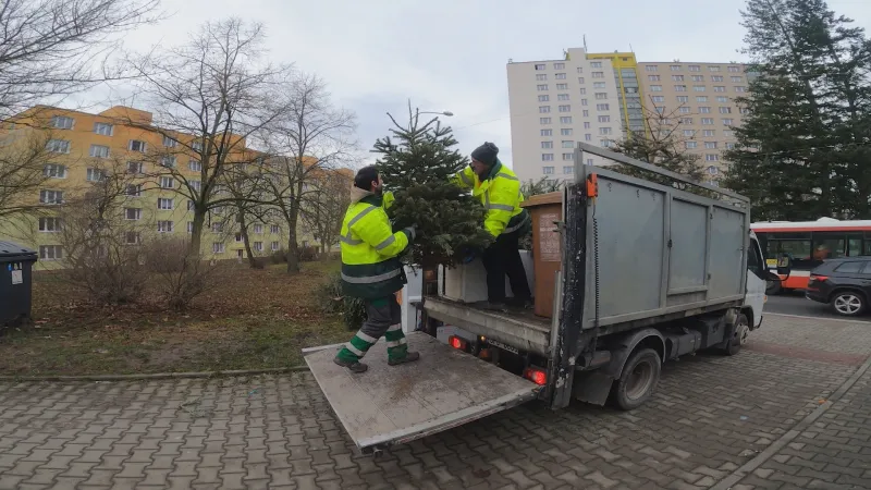 Popeláři odklízejí vánoční stromky