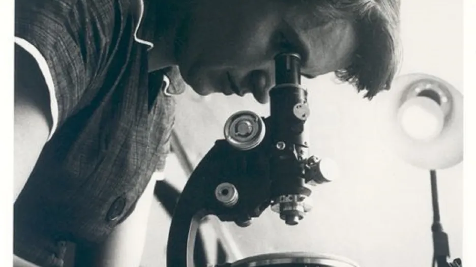 Rosalinda Franklinová