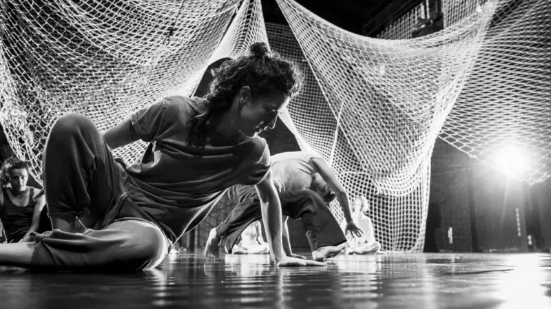 Panthera (420People)