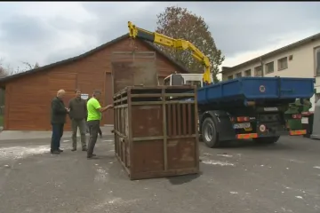 Ochránci přírody už mají odchytovou klec na medvěda. Čeká se na povolení