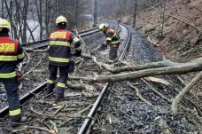 Spadlý strom zastavil vlaky na trati mezi Stráží nad Ohří a Perštejnem. Obnovení se čeká až v noci