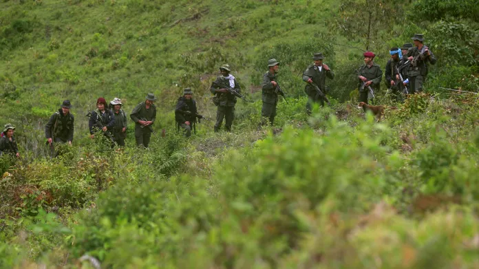 Milice z revolučních vojsk FARC