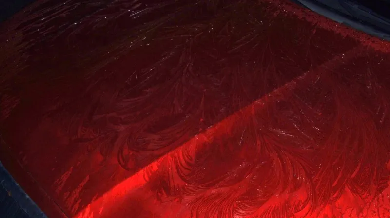 Třebkov - ledové květy