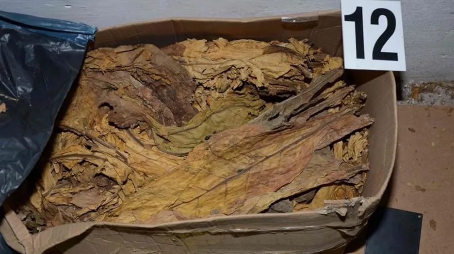 Celníci při akci CITRON rozbili síť pašeráků cigaret