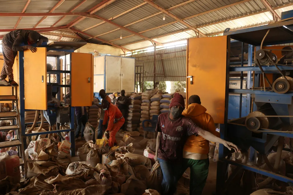 Policejní zásahy však zůstávají výzvou i pro registrovaná družstva. Vláda loni uzavřela všechny těžební lokality a později znovu otevřela pouze ty, které licencovala