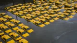 Obětí Sandy se staly i žluté newyorské taxíky