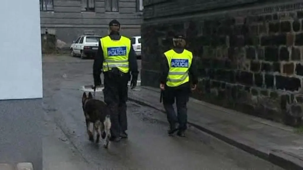 Policejní hlídka v ulicích