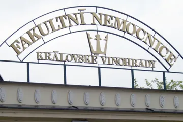 Pacient s prasečí chřipkou zemřel na leukémii