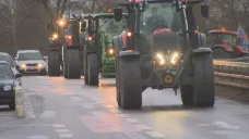 Protest českých zemědělců, 19. 2. 2024