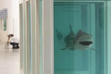 Žraloka, telata a holubici naložil Hirst do formaldehydu nejspíš až v roce 2017. Nejde o jeho raná díla, jak tvrdí