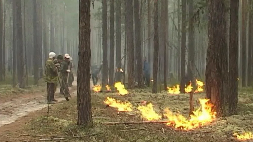 Hasiči likvidují rozsáhlé požáry