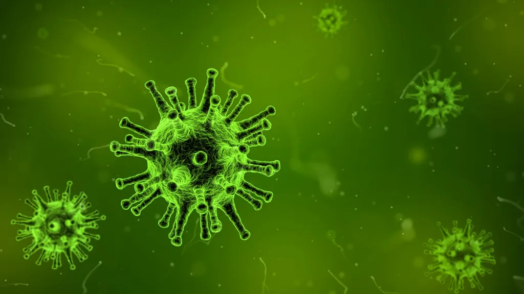 Vizualizace viru chřipky