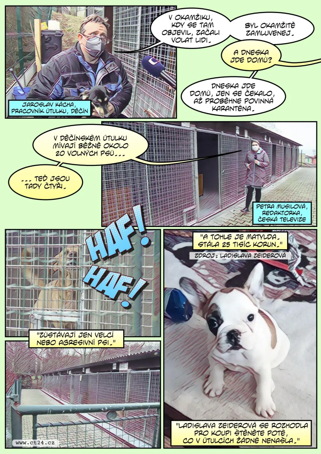 Kvůli koronaviru se vyprazdňují útulky