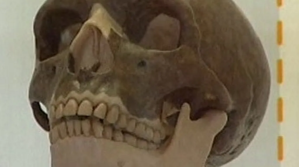 Lebka člověka neandertálského