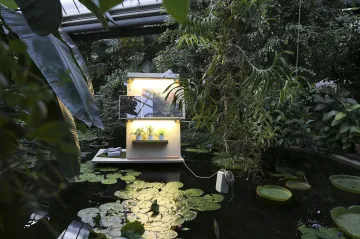 Skleníky i pralesy. Festival Fotograf zkoumá vztah kultury a přírody